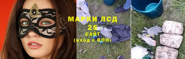 хмурый Абаза
