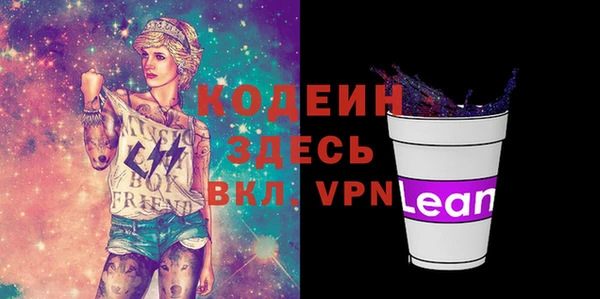 хмурый Абаза